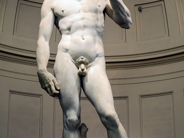 David & Co: visit to the Accademia Gallery